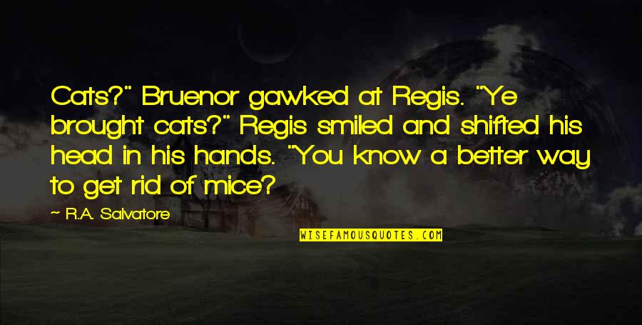 Gawked Quotes By R.A. Salvatore: Cats?" Bruenor gawked at Regis. "Ye brought cats?"