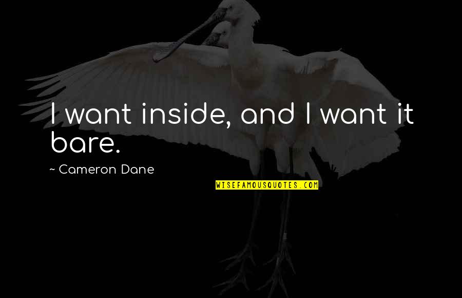 Gay Romance Quotes By Cameron Dane: I want inside, and I want it bare.