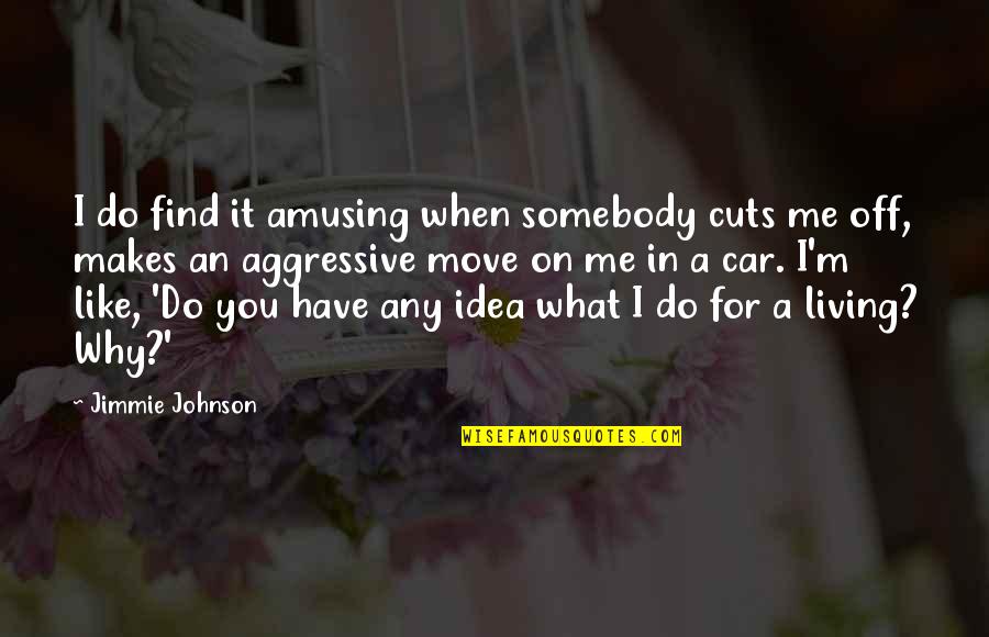 Gaybies Quotes By Jimmie Johnson: I do find it amusing when somebody cuts
