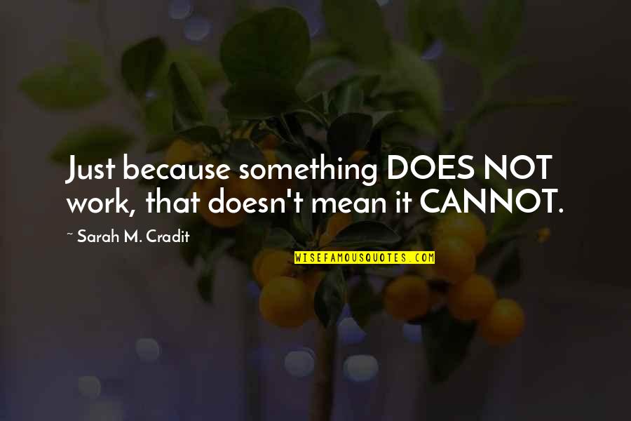 Gaybies Quotes By Sarah M. Cradit: Just because something DOES NOT work, that doesn't