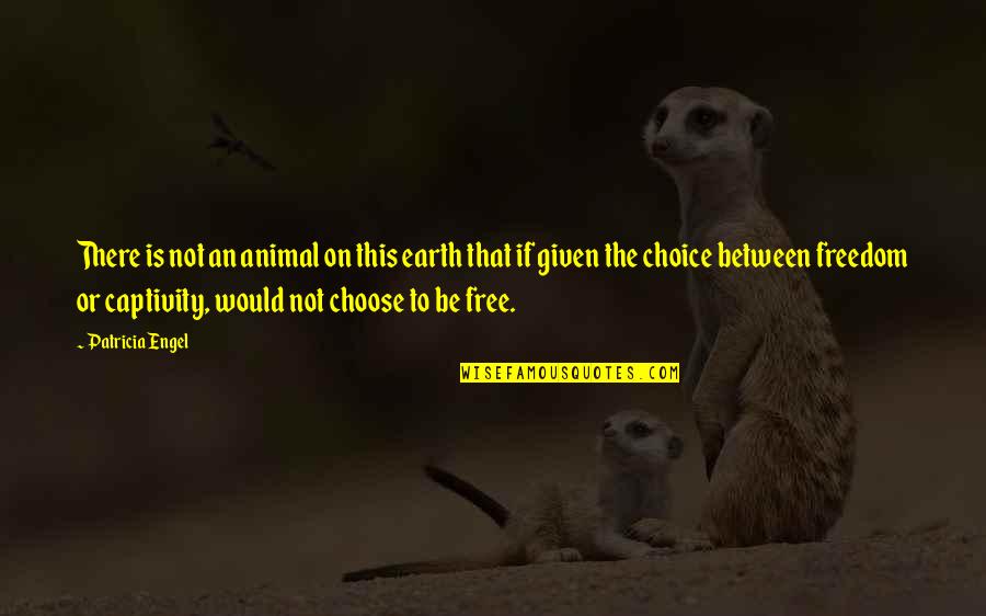 Gazdas Gi Quotes By Patricia Engel: There is not an animal on this earth Gazdas Gi Quotes By Patricia Engel: There is not an animal on this earth