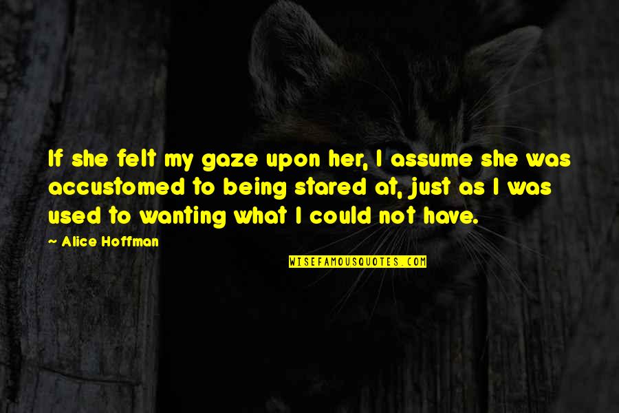 Gaze Quotes By Alice Hoffman: If she felt my gaze upon her, I Gaze Quotes By Alice Hoffman: If she felt my gaze upon her, I