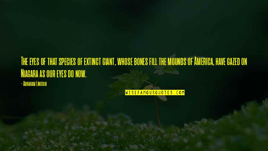 Gazed Quotes By Abraham Lincoln: The eyes of that species of extinct giant, Gazed Quotes By Abraham Lincoln: The eyes of that species of extinct giant,