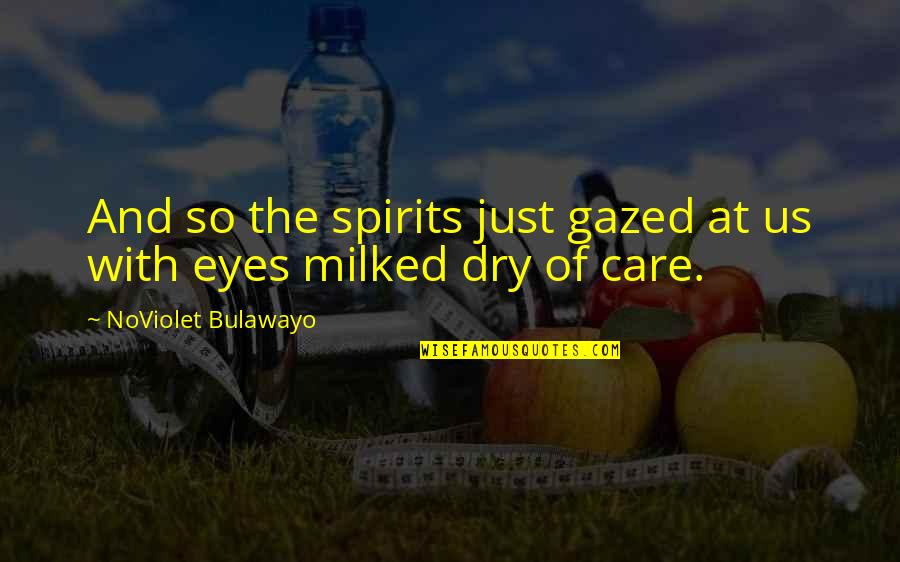 Gazed Quotes By NoViolet Bulawayo: And so the spirits just gazed at us