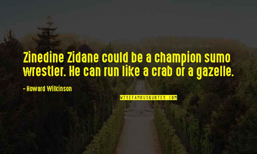 Gazelle Quotes By Howard Wilkinson: Zinedine Zidane could be a champion sumo wrestler.