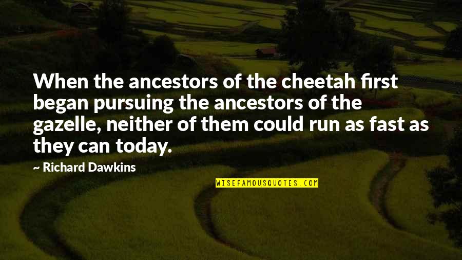 Gazelle Quotes By Richard Dawkins: When the ancestors of the cheetah first began