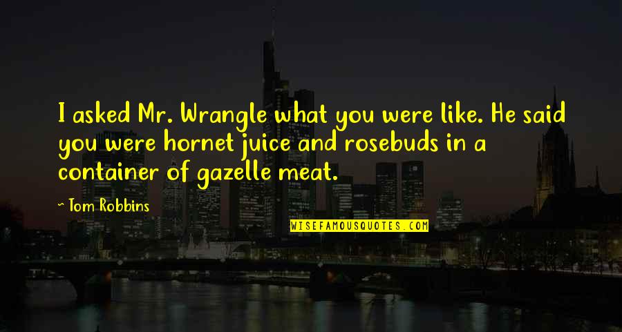 Gazelle Quotes By Tom Robbins: I asked Mr. Wrangle what you were like.