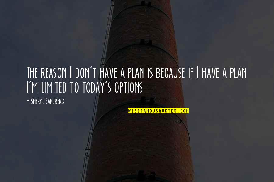 Gazing At The Moon Quotes By Sheryl Sandberg: The reason I don't have a plan is