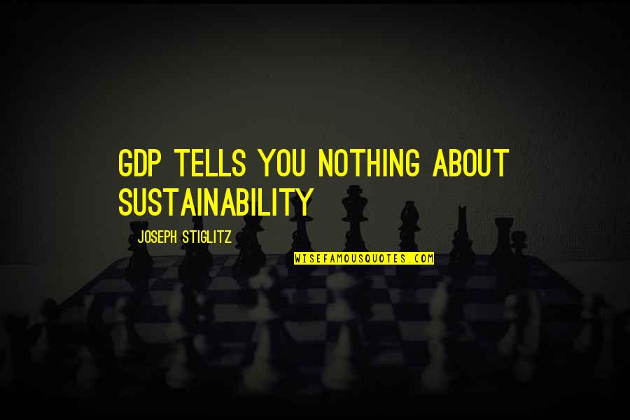 Gdp Quotes By Joseph Stiglitz: GDP tells you nothing about sustainability