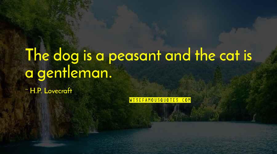 Ge Bonds Quotes By H.P. Lovecraft: The dog is a peasant and the cat Ge Bonds Quotes By H.P. Lovecraft: The dog is a peasant and the cat