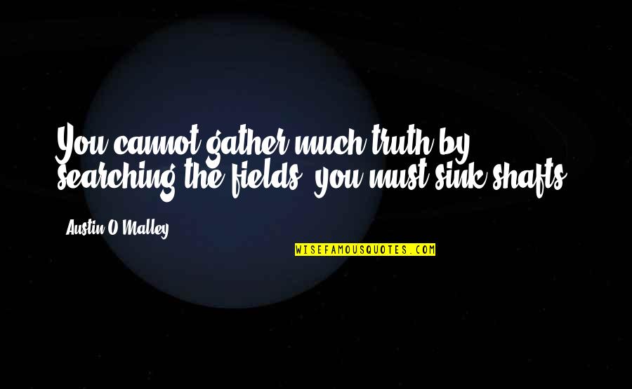 Gears Quotes And Quotes By Austin O'Malley: You cannot gather much truth by searching the