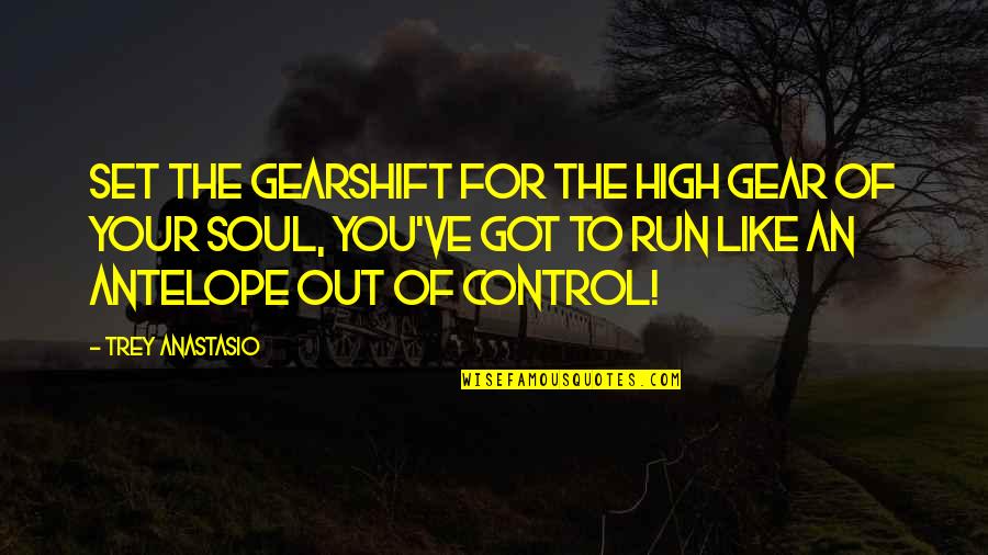 Gearshift Quotes By Trey Anastasio: Set the gearshift for the high gear of