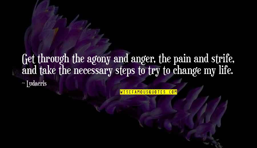 Gebeden Islam Quotes By Ludacris: Get through the agony and anger, the pain