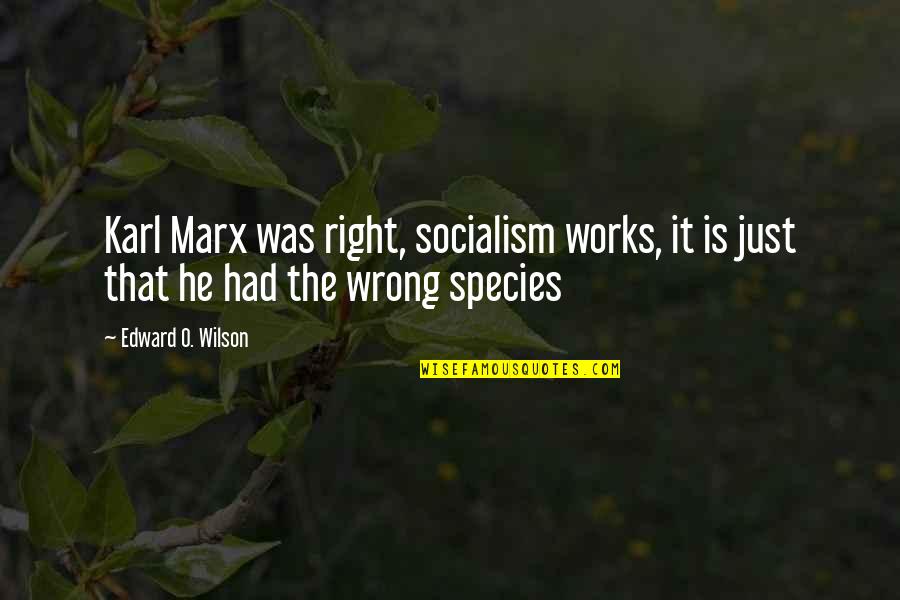 Gebouwen Hoofdletter Quotes By Edward O. Wilson: Karl Marx was right, socialism works, it is