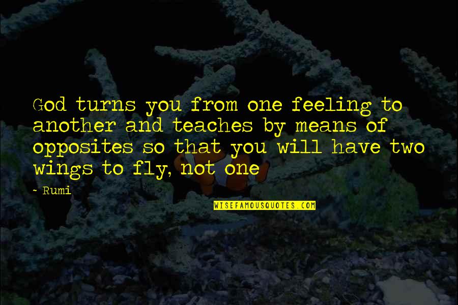 Gebruikersomgeving Quotes By Rumi: God turns you from one feeling to another