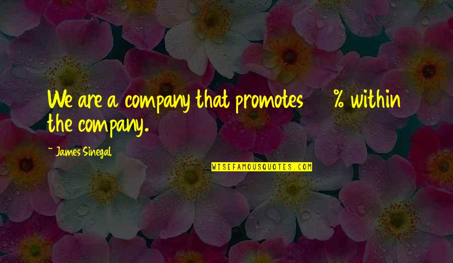 Geerinckx Koenraad Quotes By James Sinegal: We are a company that promotes 100% within