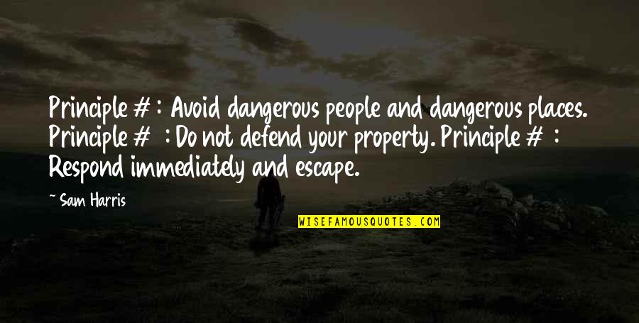 Geering Broach Quotes By Sam Harris: Principle #1: Avoid dangerous people and dangerous places.