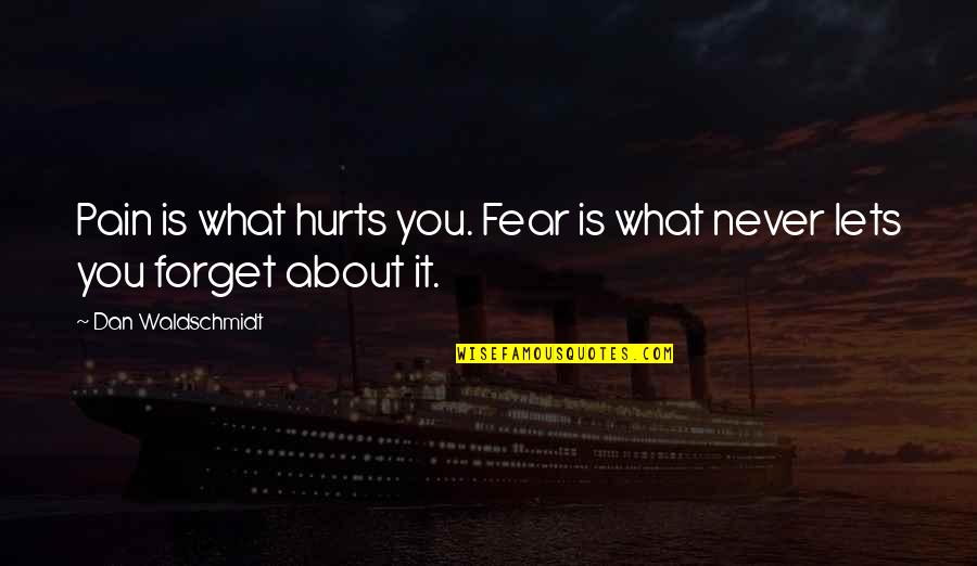 Geery Contractors Quotes By Dan Waldschmidt: Pain is what hurts you. Fear is what
