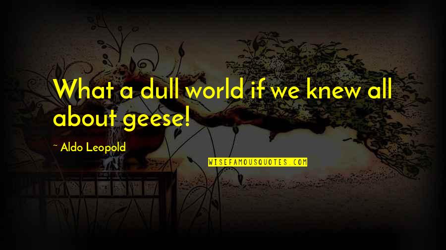 Geese Quotes By Aldo Leopold: What a dull world if we knew all