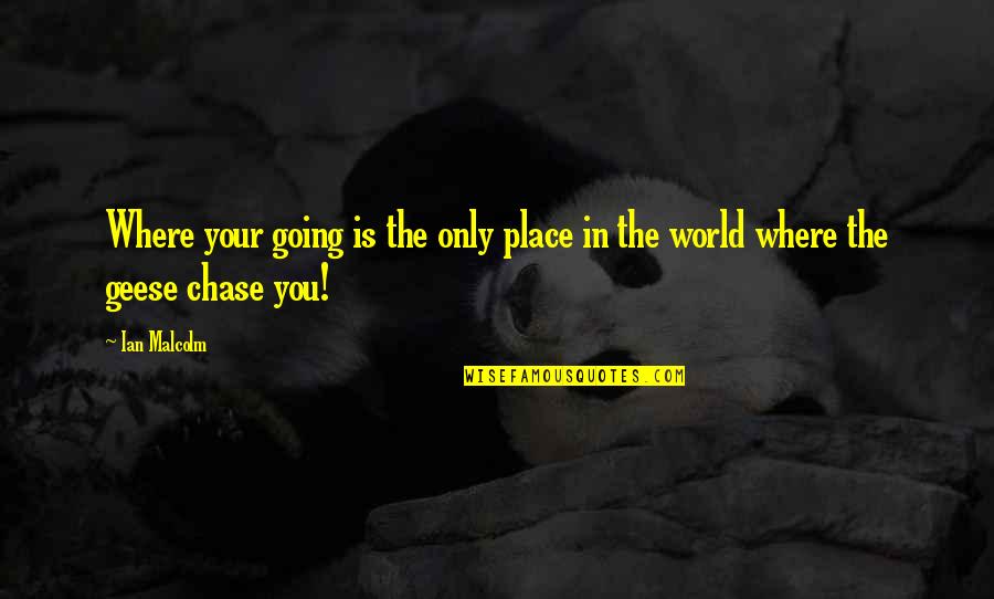 Geese Quotes By Ian Malcolm: Where your going is the only place in