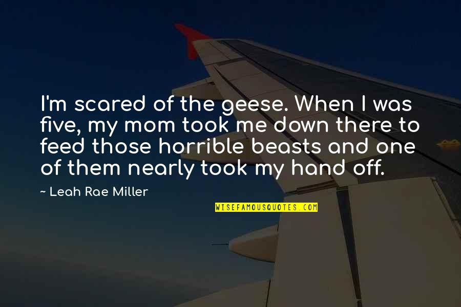 Geese Quotes By Leah Rae Miller: I'm scared of the geese. When I was