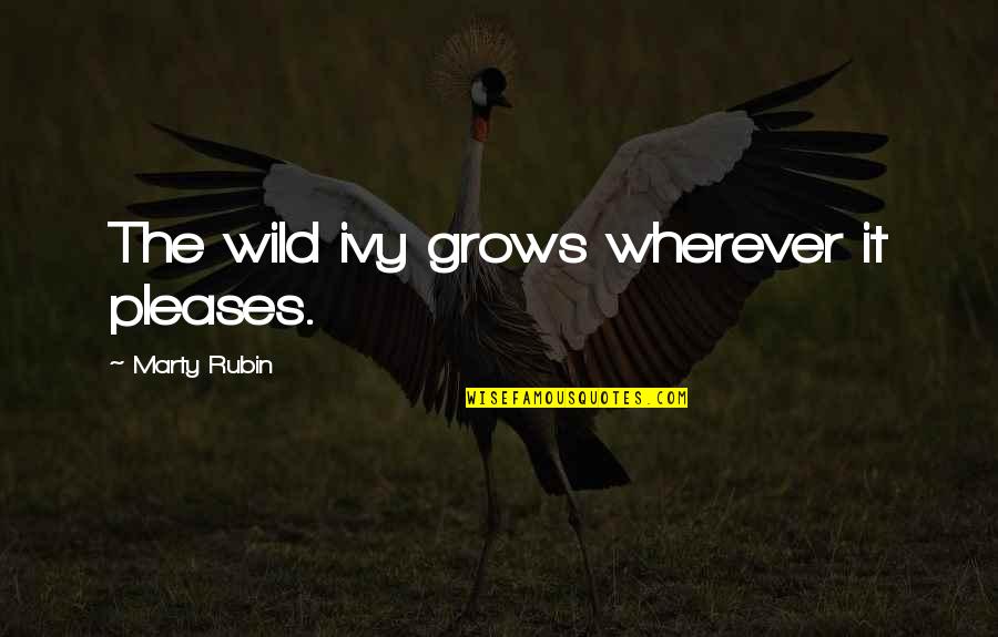 Geetha Saram Quotes By Marty Rubin: The wild ivy grows wherever it pleases. Geetha Saram Quotes By Marty Rubin: The wild ivy grows wherever it pleases.