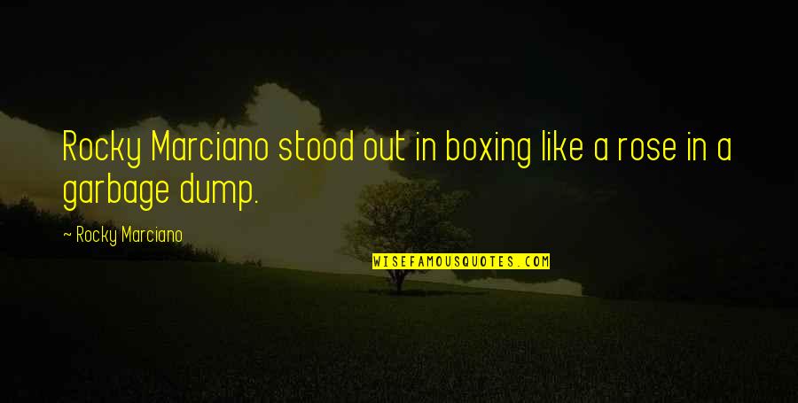 Geezers At The Grove Quotes By Rocky Marciano: Rocky Marciano stood out in boxing like a Geezers At The Grove Quotes By Rocky Marciano: Rocky Marciano stood out in boxing like a