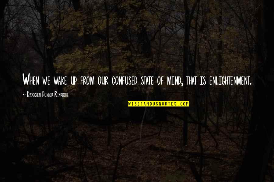Gegenteil Quotes By Dzogchen Ponlop Rinpoche: When we wake up from our confused state Gegenteil Quotes By Dzogchen Ponlop Rinpoche: When we wake up from our confused state