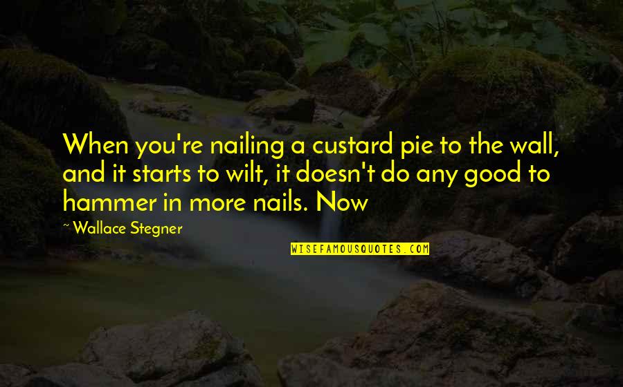 Geidel Quotes By Wallace Stegner: When you're nailing a custard pie to the