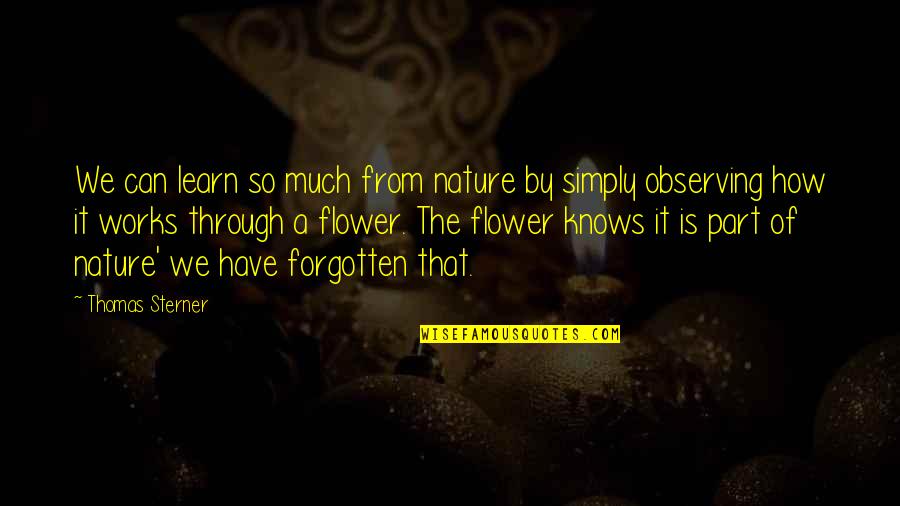 Geisen Quotes By Thomas Sterner: We can learn so much from nature by Geisen Quotes By Thomas Sterner: We can learn so much from nature by