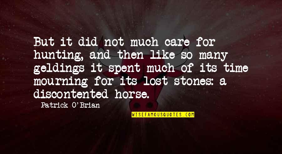 Geldings Quotes By Patrick O'Brian: But it did not much care for hunting, Geldings Quotes By Patrick O'Brian: But it did not much care for hunting,