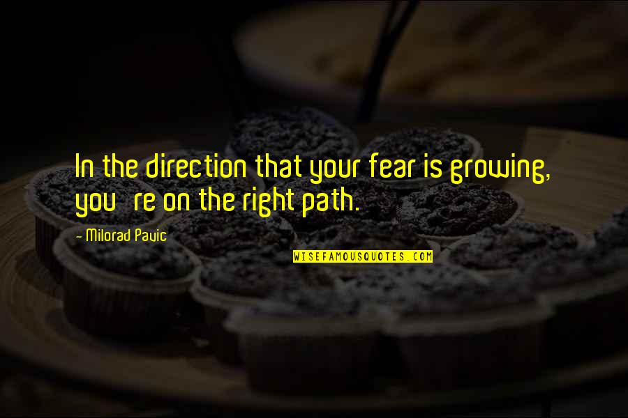 Geldof Girls Quotes By Milorad Pavic: In the direction that your fear is growing,