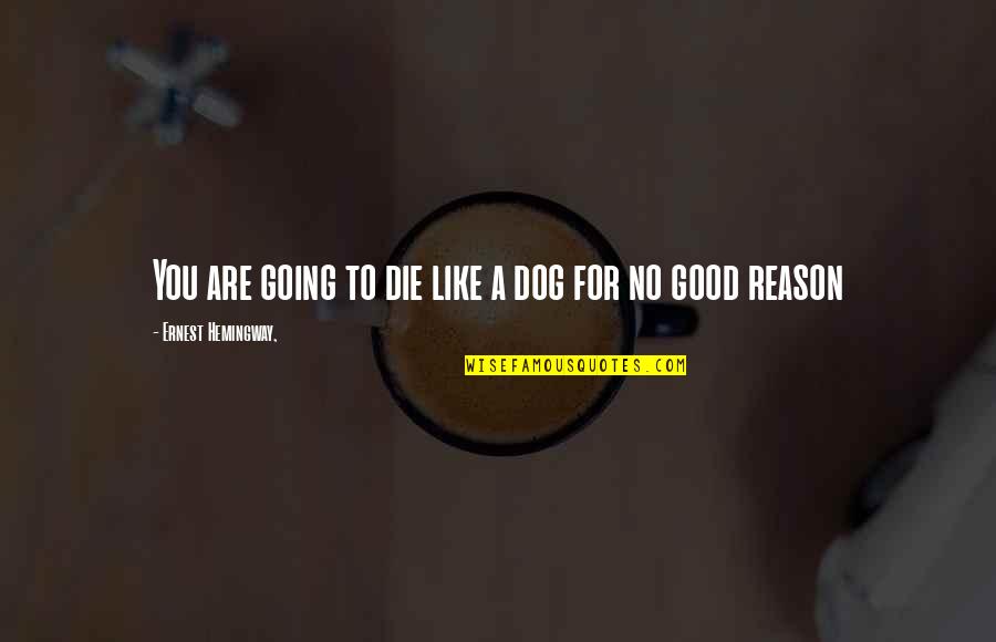 Geleceksen Bana Quotes By Ernest Hemingway,: You are going to die like a dog