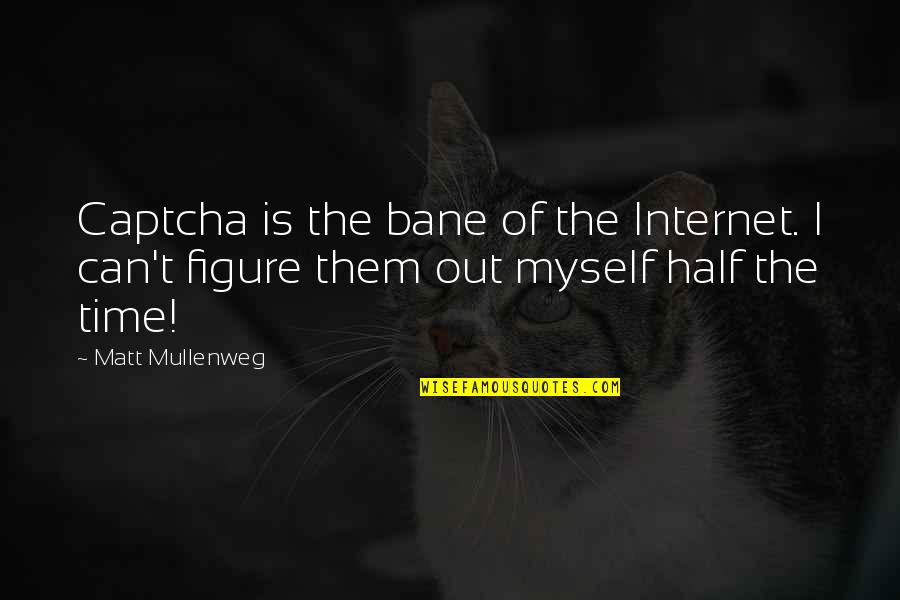 Gelecekteki Icatlar Quotes By Matt Mullenweg: Captcha is the bane of the Internet. I