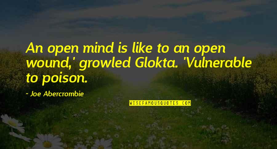 Gelsen Injections Quotes By Joe Abercrombie: An open mind is like to an open