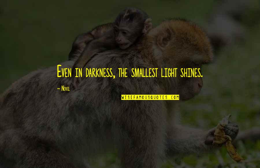 Geluk Liefde Quotes By Novel: Even in darkness, the smallest light shines.