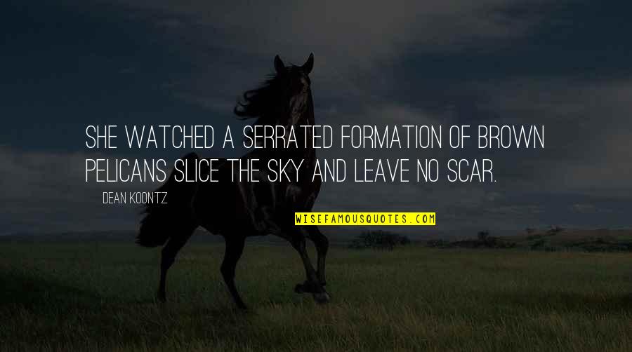 Gemastik Quotes By Dean Koontz: She watched a serrated formation of brown pelicans