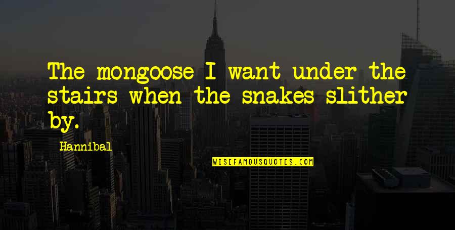 Gemastik Quotes By Hannibal: The mongoose I want under the stairs when