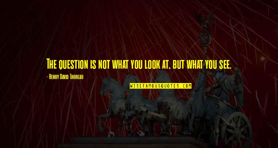 Gemeine Quotes By Henry David Thoreau: The question is not what you look at,