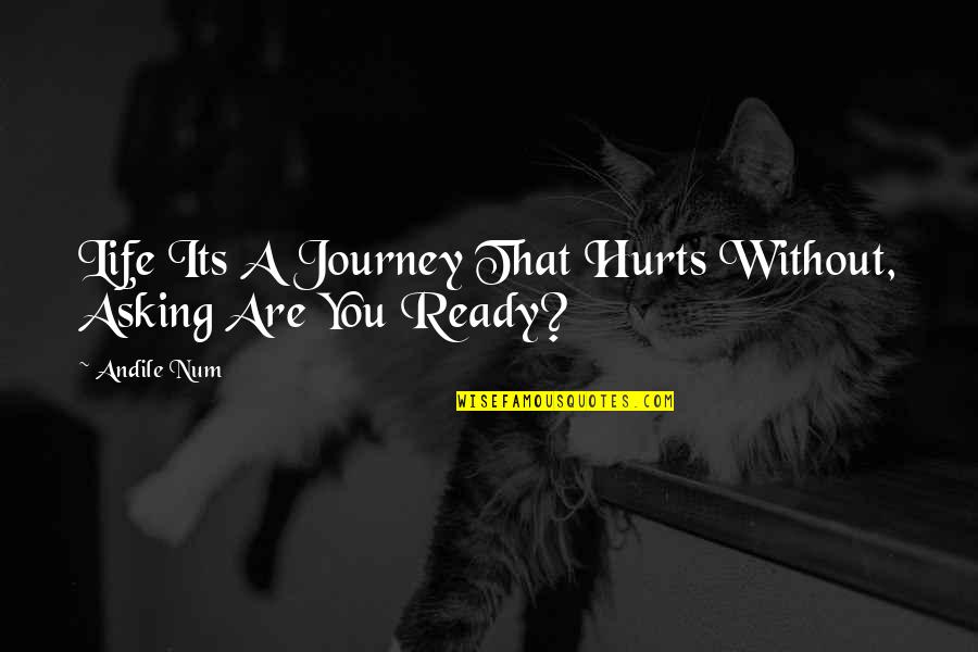 Genao Supplies Quotes By Andile Num: Life Its A Journey That Hurts Without, Asking
