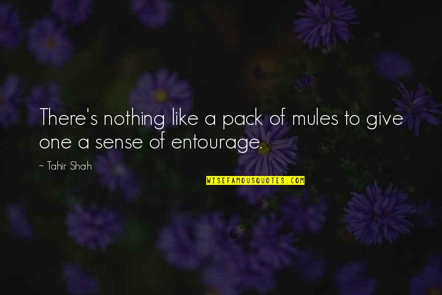 Gender Roles In The Great Gatsby Quotes By Tahir Shah: There's nothing like a pack of mules to