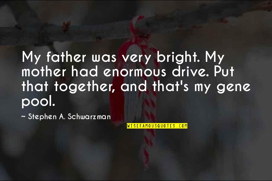 Gene Pool Quotes By Stephen A. Schwarzman: My father was very bright. My mother had