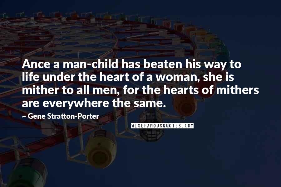 Gene Stratton-Porter quotes: Ance a man-child has beaten his way to life under the heart of a woman, she is mither to all men, for the hearts of mithers are everywhere the same.