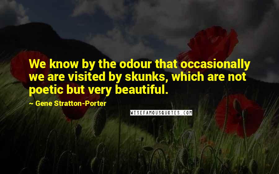 Gene Stratton-Porter quotes: We know by the odour that occasionally we are visited by skunks, which are not poetic but very beautiful.