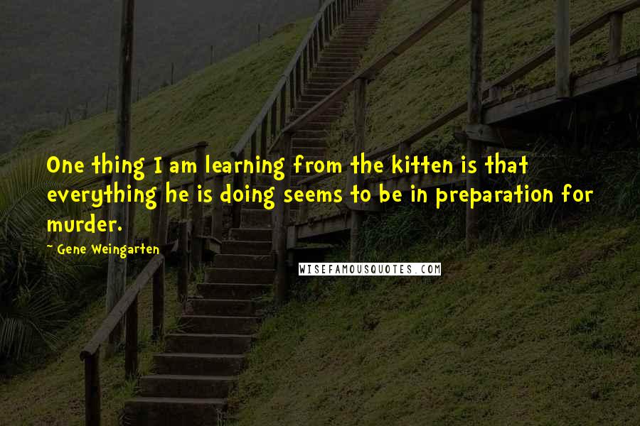 Gene Weingarten quotes: One thing I am learning from the kitten is that everything he is doing seems to be in preparation for murder.