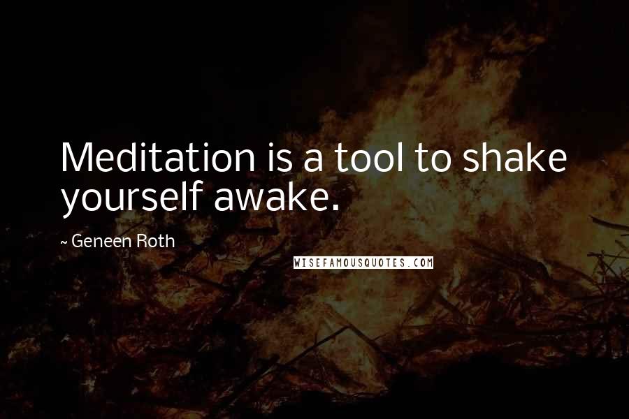 Geneen Roth quotes: Meditation is a tool to shake yourself awake.