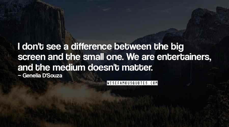 Genelia D'Souza quotes: I don't see a difference between the big screen and the small one. We are entertainers, and the medium doesn't matter.