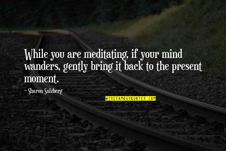 Generador De Citas Quotes By Sharon Salzberg: While you are meditating, if your mind wanders, Generador De Citas Quotes By Sharon Salzberg: While you are meditating, if your mind wanders,