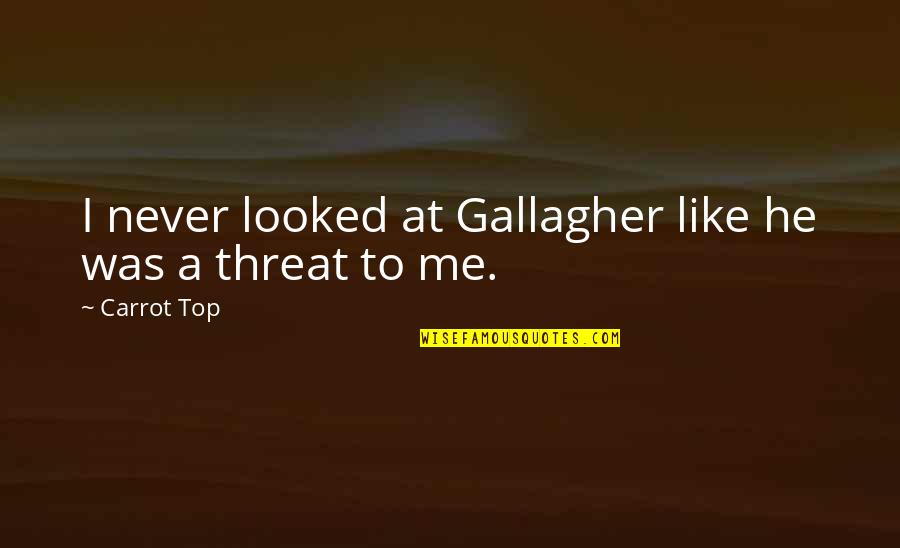 General Birdwood Quotes By Carrot Top: I never looked at Gallagher like he was