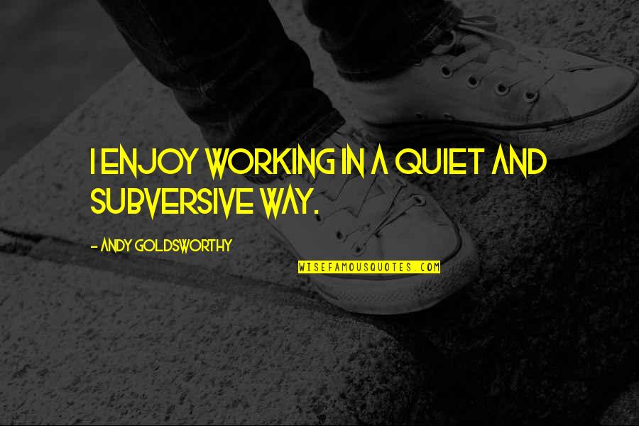 General Douhet Quotes By Andy Goldsworthy: I enjoy working in a quiet and subversive General Douhet Quotes By Andy Goldsworthy: I enjoy working in a quiet and subversive
